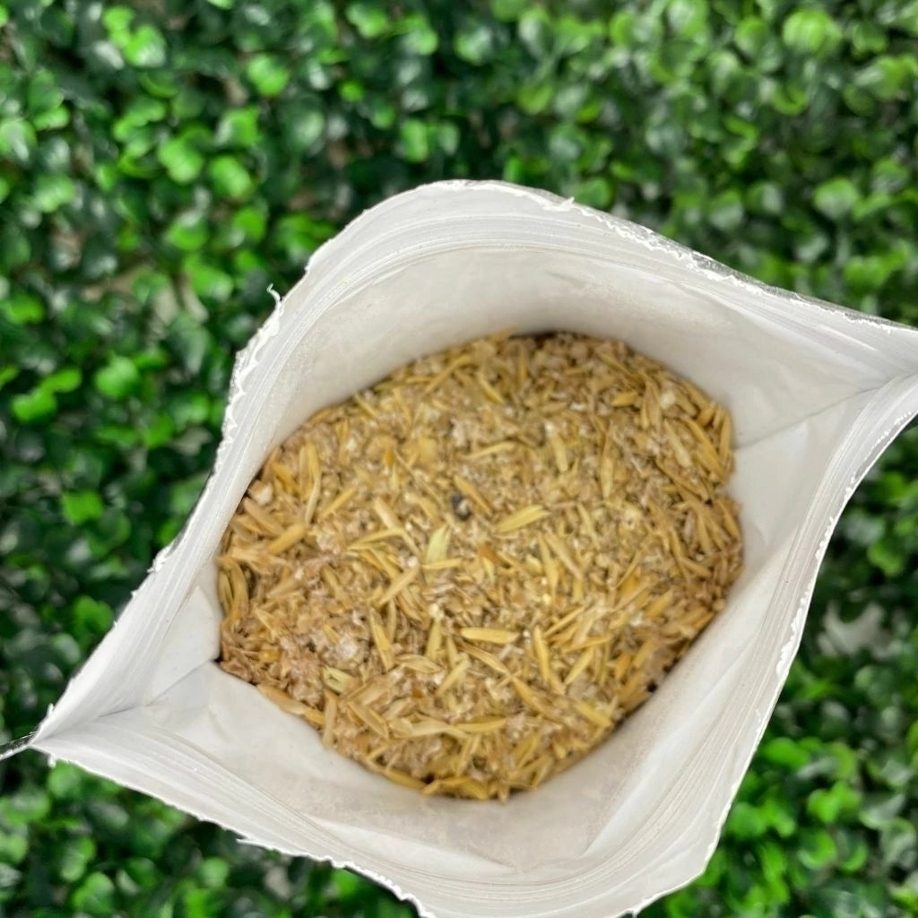 Adubo Fortirriza Tradicional (500g) + 200g Grátis – Nutrição poderosa para raízes fortes e floração exuberante!