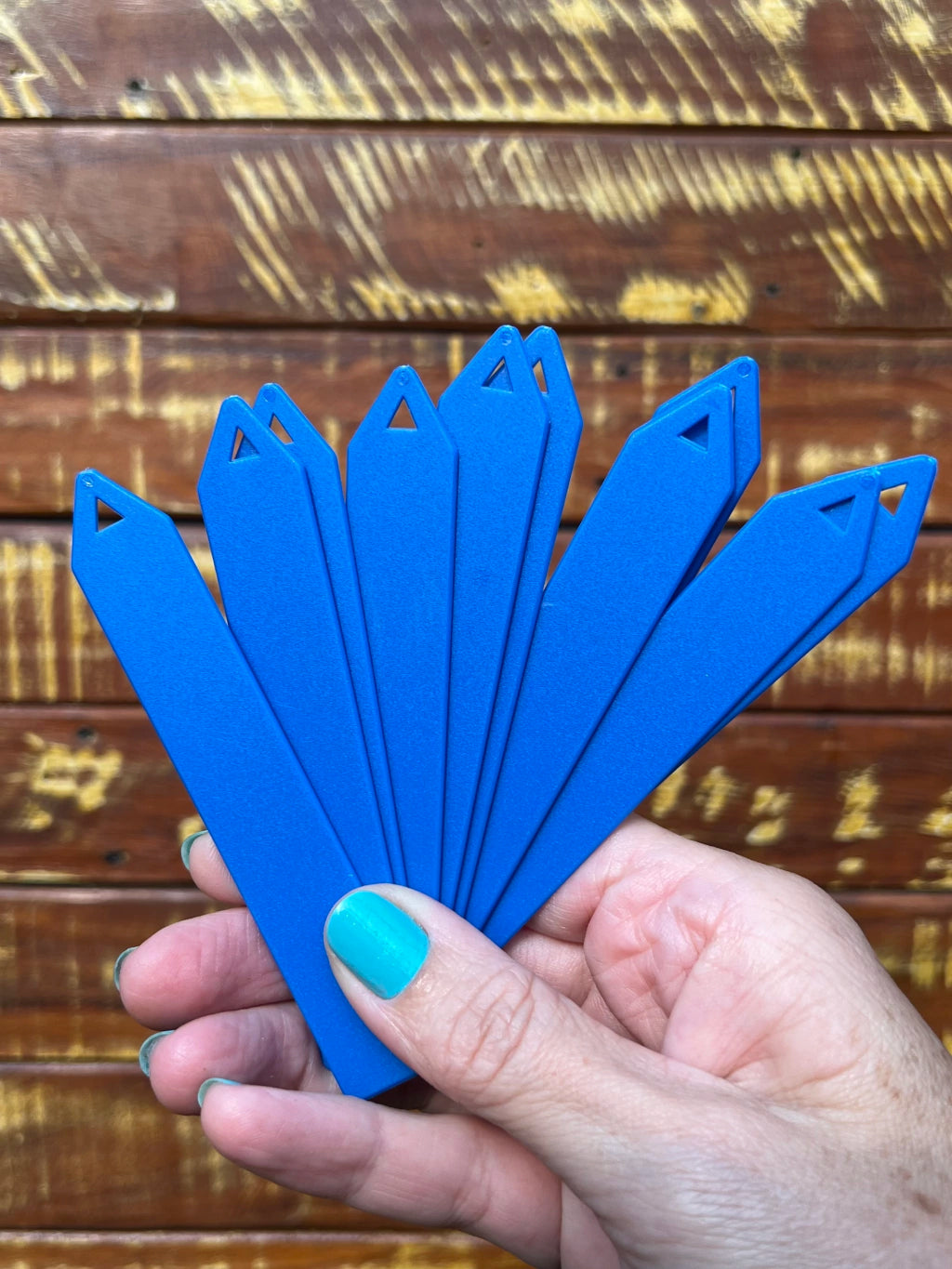 Plaquinhas de Identificação de Plantas - Azul - 10 Unidades: Organize Seu Jardim com Estilo